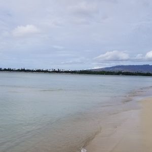 Meet your Posher, Rusty